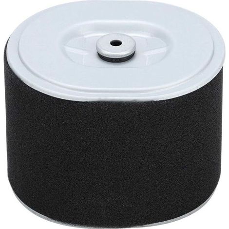 Filtre à Air Gx390 Filtre à Air Afze18 Filtre à Air Af Ze28 Moteur Gx390 Pièces de Nettoyeur Haute Pression Gx390 294, Accessoire de Remplacement de Filtre à Air pour Tondeuse à Gazon pour Moteur Hond