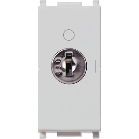 VIMAR - 14083.CU.SL Interr. 2P 16(3)A +chiave unific. Silver