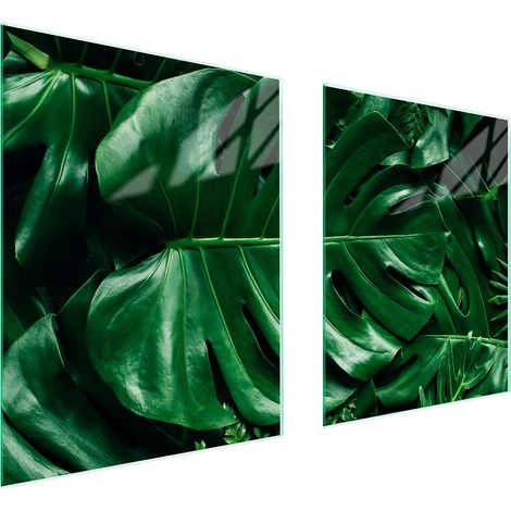 Plaque de protection en verre pour poêle 85x52 monstera (1/5)
