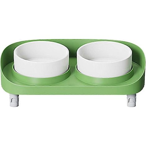 Gamelle surélevée inclinée pour chat, gamelle ergonomique et anti-stress avec support antidérapant, verte (1/5)