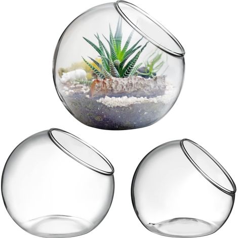 Verre Clair Air Plante Terrarium Succulent Cactus Plante Vases Terrarium Pot Pot De Bonbons Récipient Floral Bol Incliné pour Fête De Mariage Événement Décor De Bureau À (1/5)