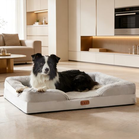 Lit pour Chien et Chat Taille M avec Mousse à Mémoire de Forme Amovible, Niche Douillette Toutes Saisons pour Animaux de Compagnie, Maison Confortable 75x50x16 cm-x (1/3)