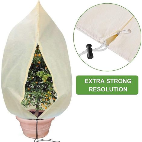 Protection hivernale pour plantes, veste polaire adaptée aux plantes, réutilisable (1/4)