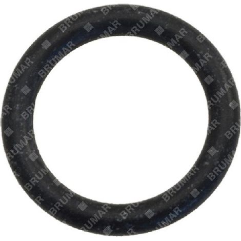 ODER-Ring für KOMPATIBLE BERTOLINI-Pumpen - 001022