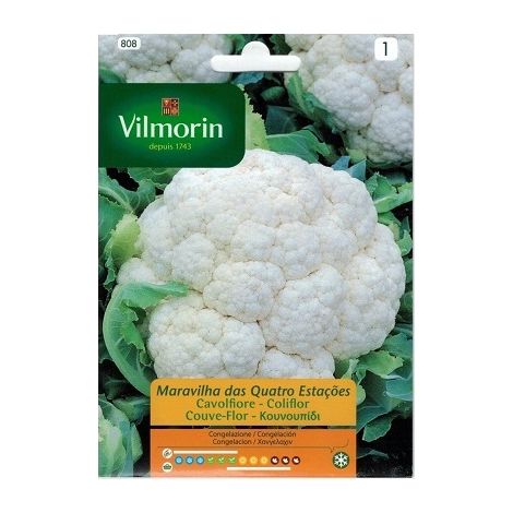 Graines du chou-fleur Four Seasons Vilmorin 2G