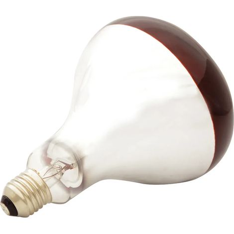 Ampoule infrarouge pour éleveuse 60 W (1/5)