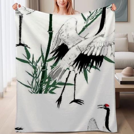 Couverture de lit en polaire moelleuse légère et douce, chaude en microfibre,6080 pouces (1/4)