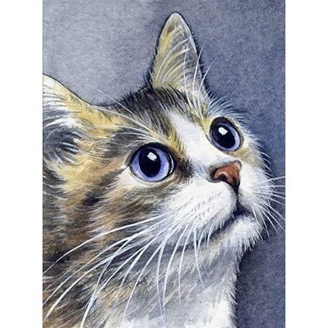 Pintura por números - Gato de 30x40cm