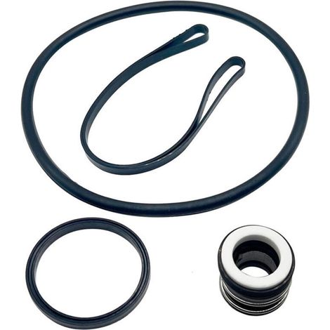 Kit di riparazione Hayward SP3000X - Set di guarnizioni e lubrificante (1/4)