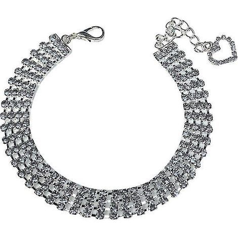 Collier pour chiot femelle (1 pièce) (1/3)