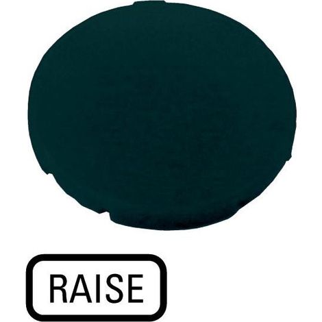 Étiquette plate noire RAISE EATON M22-XD-S-GB17