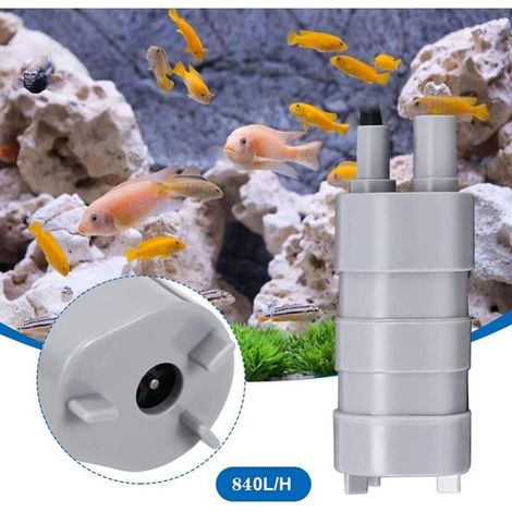 Pompe à eau Submersible 12V 840L/h pompes à haut débit Micro pompe à eau à moteur pour fontaine d'aquarium de réservoir de poissons d'étang de RV (1/4)