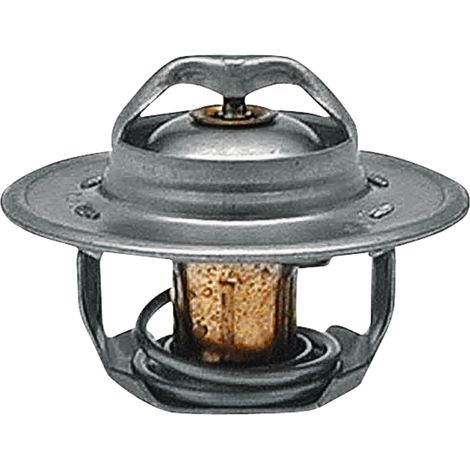 Thermostat 82' C Ford 54mm 74717039 GRANITE 83913835
