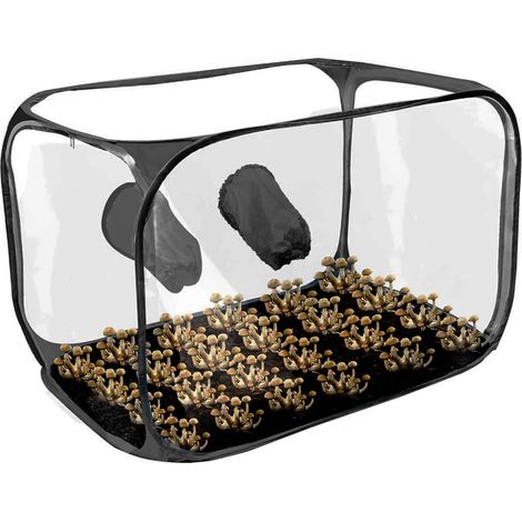 Air Box Arbeitskammer stérile Laboraufbewahrungsbox Boîte à