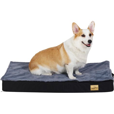 BingoPaw Cama Perro Grande Desenfundable Desenfundable Lavable Colchoneta de Espuma Ortopedica, M 78x48x8cm