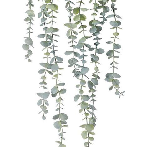 1 ensemble. Couleur : Vert. Matériau : Support suspendu en plastique pour eucalyptus artificiel, pot de fleurs artificiel.