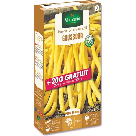 Haricot Nain Beurre Goussdor + 20 g Offert Vilmorin (1/2)