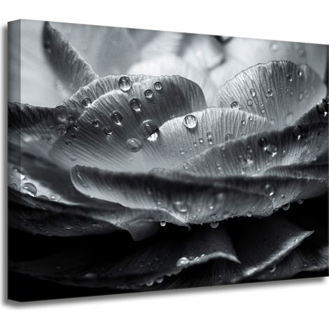 Leinwanddruck Blume in Tautropfen 40x30 cm