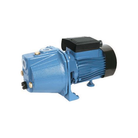 Selbstansaugende Elektropumpe 0,46 kW