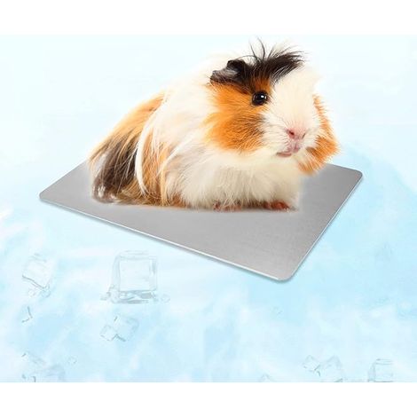 Hamster Cooling Mat for Small Animals Puppy Guinea Pigs Hamster Rabbits Hamsters Cat Rabbit 12 x 8 cm/4.7 x 3.1 inches (1/5)