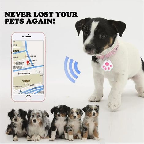 Mini traceur GPS pour chat/chien (42 x 40 x 10 mm), traceur Bluetooth (1/3)