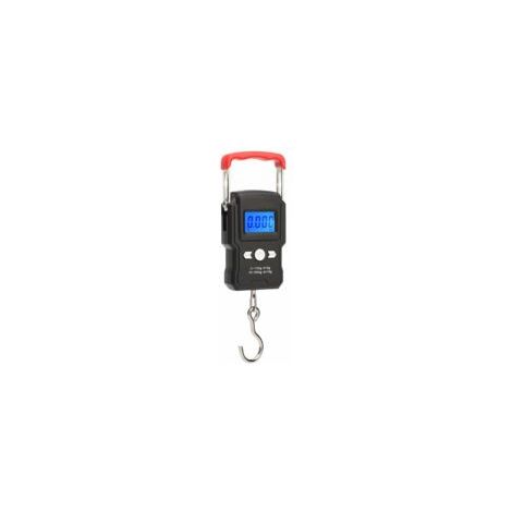 Balance A Crochet Suspendue, Double Precision, Retroeclairage De L'Ecran Lcd, 50Kg / 5G