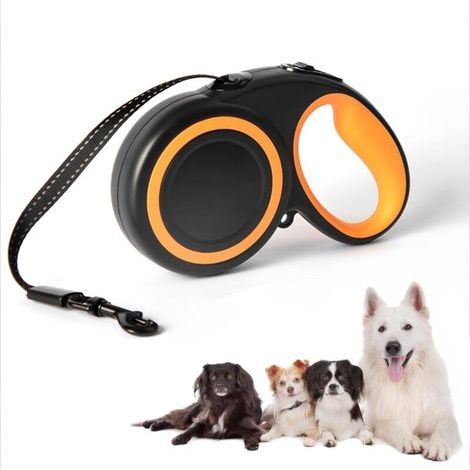 [JAMAIS UTILISÉ] Laisse rétractable pour chien (1/4)
