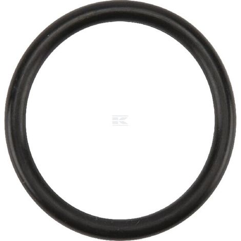 O-Ring 31,34 x 3,53 BIRCHMEIER 50117062 (1/2)