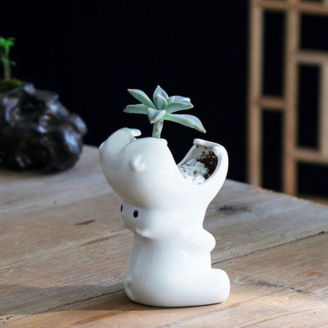 Pots de Fleurs en Céramique Blanc,--Lefou Pots de Fleurs pour Plante Succulente, Mini Pot de Plante Hippopotame, Céramique Pots Plantes Décoration pour Bonsai Plantes Succulent Aloès(hippopotame) (1/5)