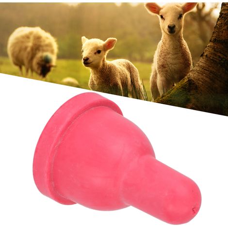 Téterelle pour Bétail avec Valve, Téterelle de Nourrisseur pour Agneau MP77+MP76A, Nipple pour Alimentation au Lait pour Vaches, Chevaux, Moutons (1/5)