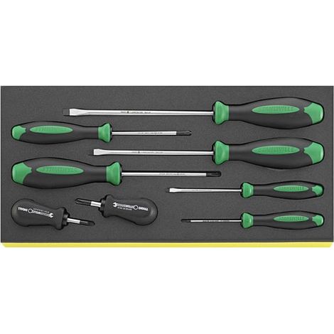 Stahlwille TCS 4620-4737/8 Schraubendreher DRALL BENDREHER