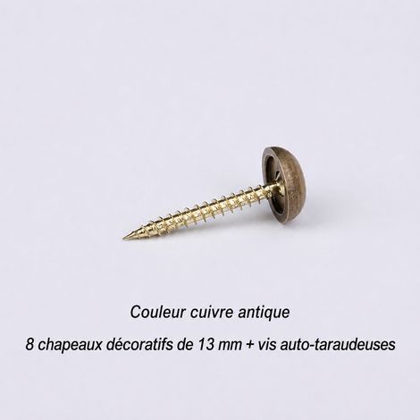 Cache-vis en laiton 13 mm bronze antique avec vis autotaraudeuses pièces13mm bronze 3,2 × 1,3 × 3,2 cm 41 g – Livraison gratuite