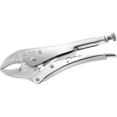 Pince-étau 250 mm mono réglage becs courts - E084809 - Expert by Facom