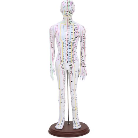 Modèle d'acupuncture humain 60cm avec méridiens, socle inclus, ensemble d'aiguilles d'acupuncture pour pratique et étude.