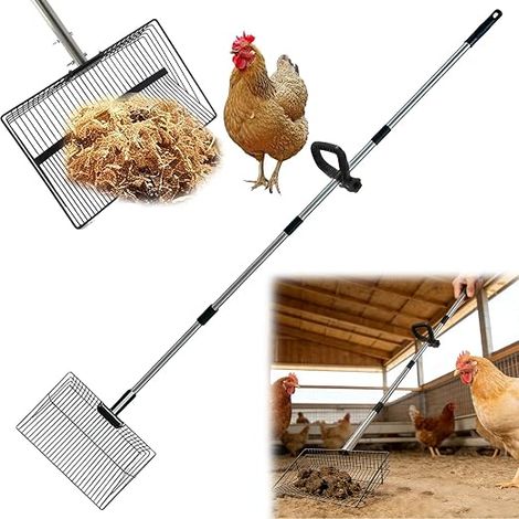 pelle à déjections de poulet, réglable, 30 cm, avec poignée en caoutchouc, accessoire pour le nettoyage des poulaillers (1/5)