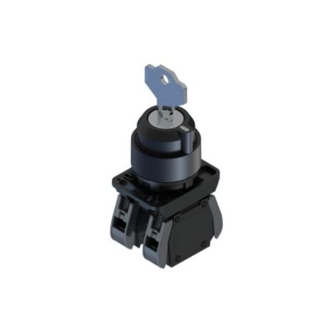 Interrupteur à clé RS PRO, 2 positions , 1 NO + 1 NF IP20, IP65 ( Prix pour 1 )