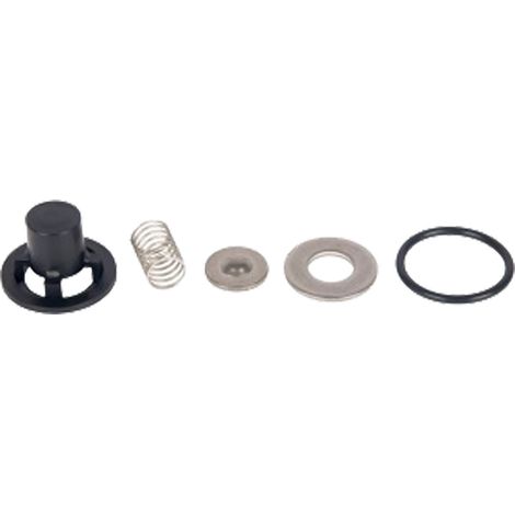 VALVOLE PER MOTOPOMPA IRRORATRICE kit 4 pezzi - COMET