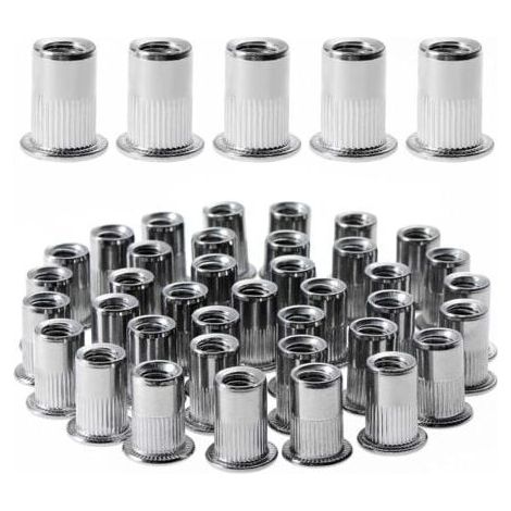 (12 mm × 15 mm) 100 Stück M6 Flachkopf-Nietmuttern mit Gewinde, Edelstahl-Nietmuttern mit Gewinde, Gewindeeinsätze-Sortiment für Kunststoff-Gewinde  FLITI