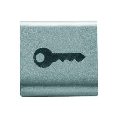 TOUCHE INTERCHANGEABLE ''CLÉ'' TITANE GEWISS GW14543