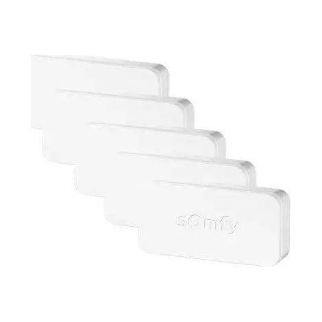 2401488 - Paquete de protección 5 Somfy Intellitag