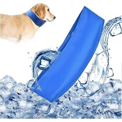 Kühlendes Hundehalsband, Kühlendes Hundetuch, Kühlender Hundeschal, Hält Haustiere kühl, Verstellbar, für Hunde und Katzen (1/5)
