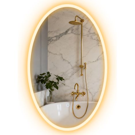 Miroir Notker LED Ovale Anti-Buée Éclairage Réglable 50x80 cm Transparent