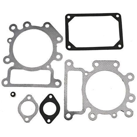 Complete set of Partman gaskets and O-rings for Briggs & Stratton / Electrolux engines (794152, 690190) (1/4)