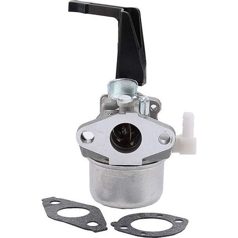 OxoxO Carburateur pour Briggs & Stratton 696065 697422 remplace 796707 794304 avec Joint (1/5)