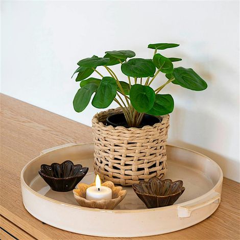 Plante artificielle pelia en pot (1/3)