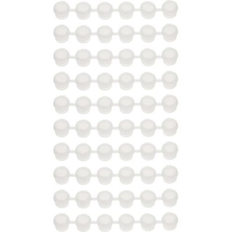40 capsules Panit