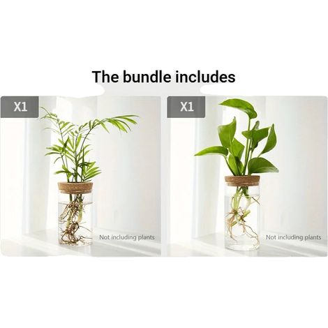 Jardinero de sobremesa para plantas hidropónicas, diseño elegante, funcionamiento sin electricidad, 2 unidades. (1/2)