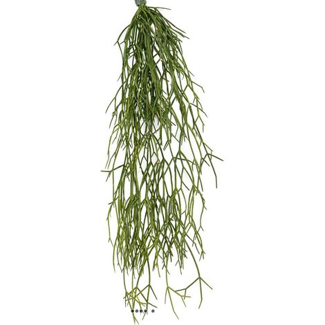 Chute de cactus rhipsalis artificiel L 60 cm l 20 cm (1/3)
