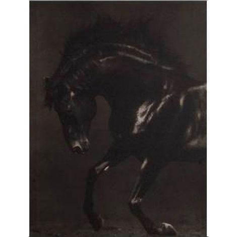 Décoration murale noir et blanc thème cheval 50 x 40 cm