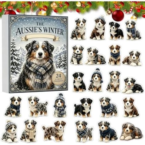Calendrier de l'Avent Chien Ornement de Noël 24 Jours Décor 2D Acrylique (1/5)